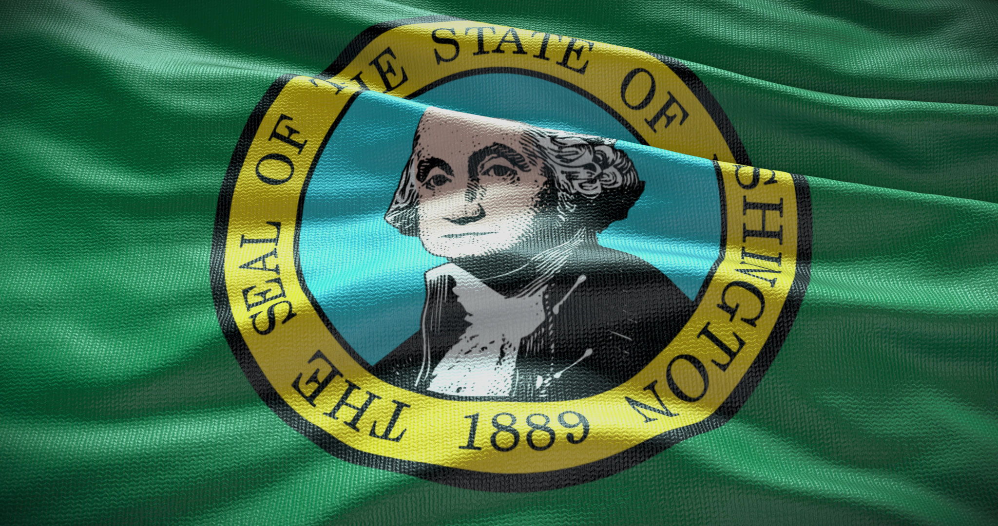 Washington state flag background