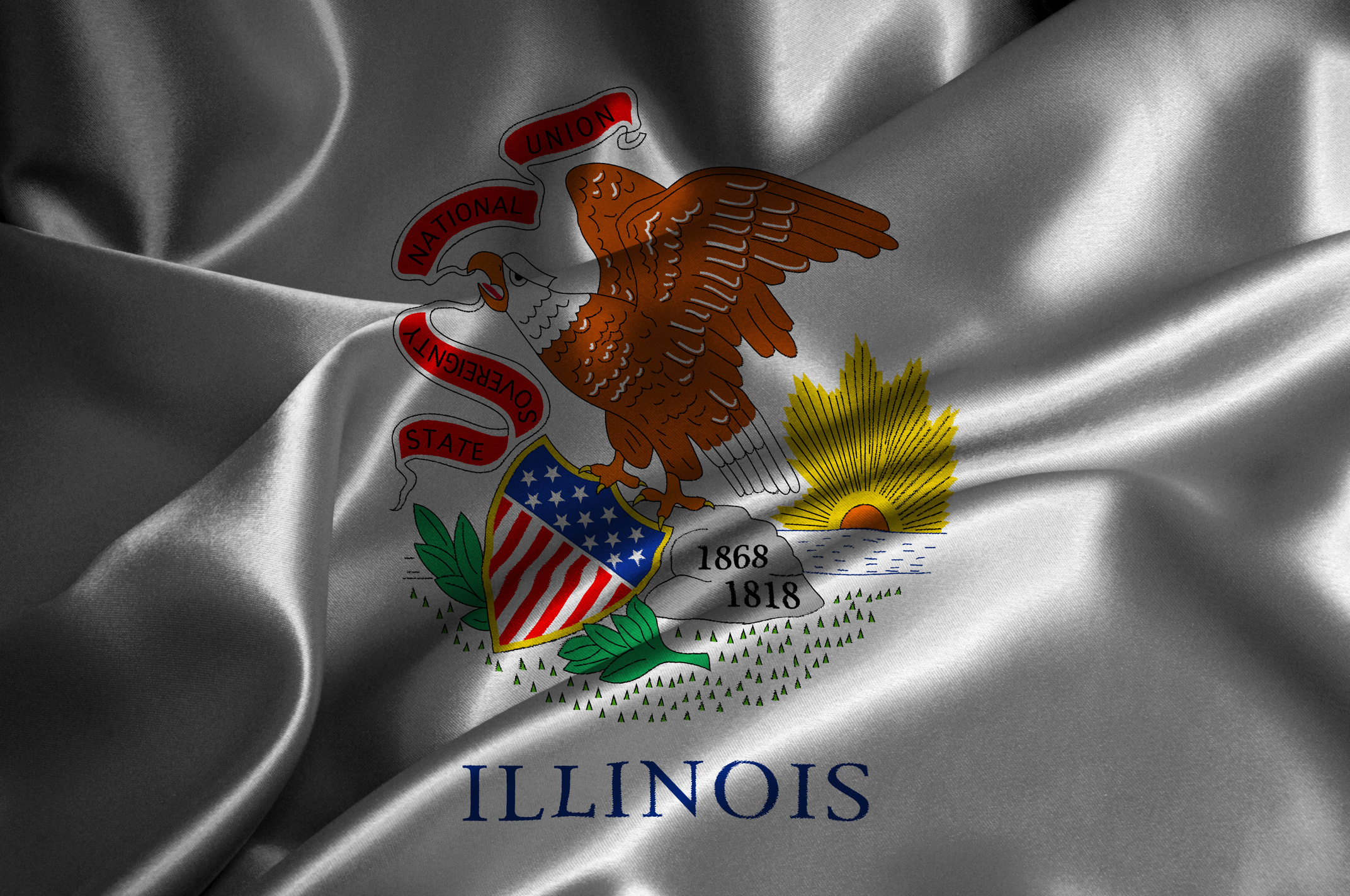 Illinois flag