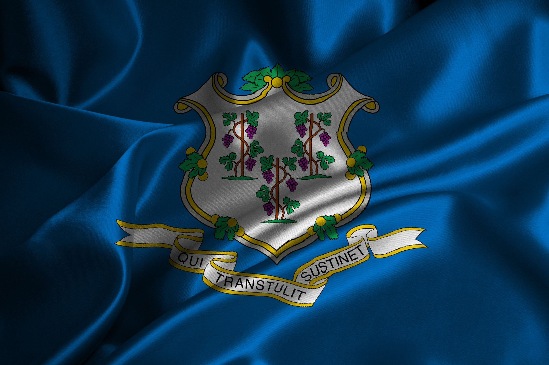 Connecticut flag