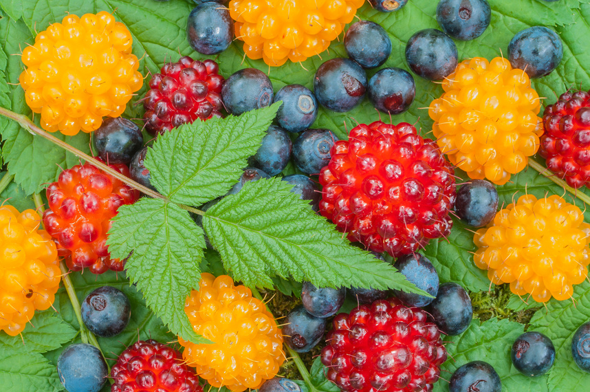 Wild Alaskan berries