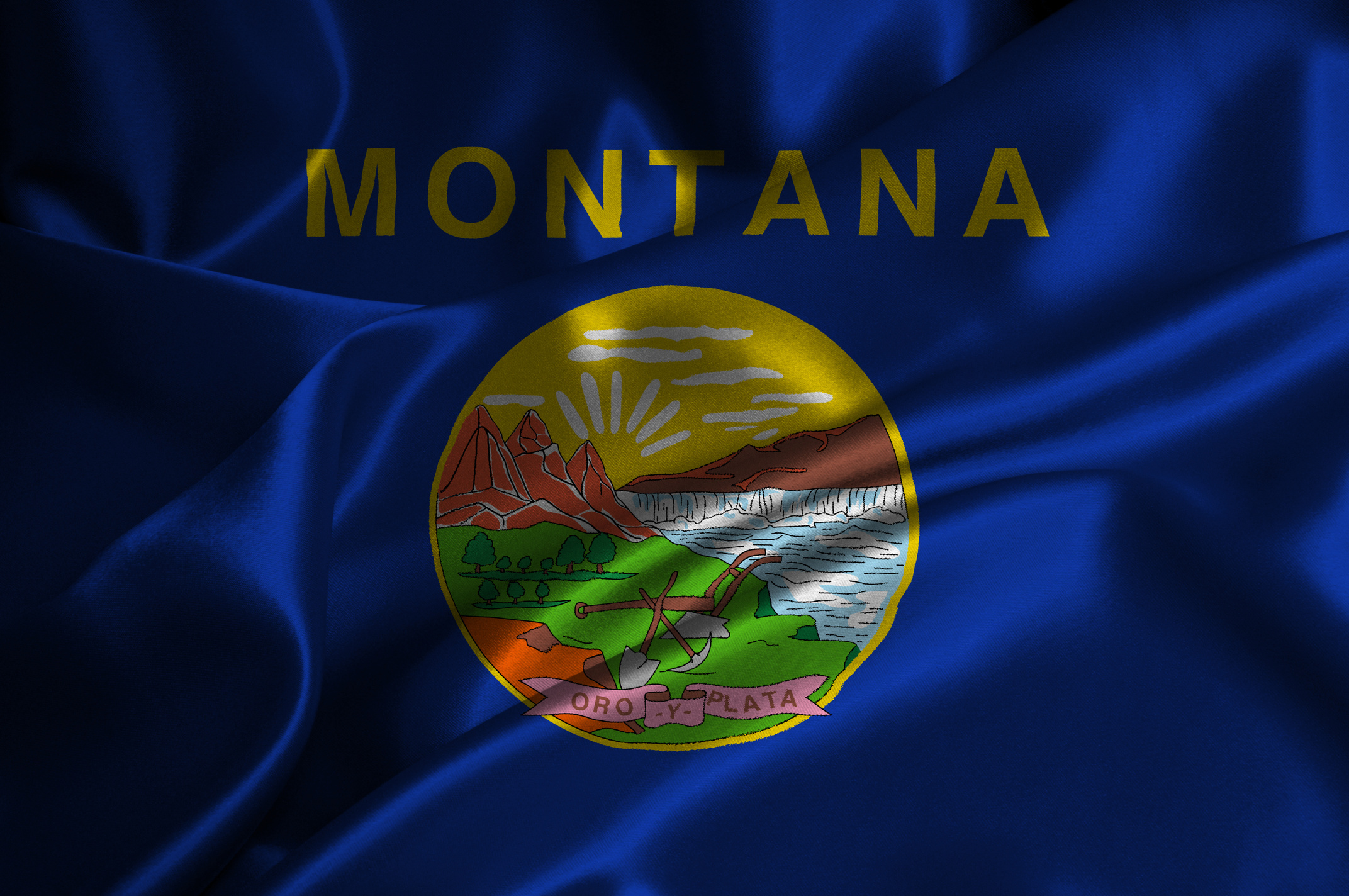 Montana flag