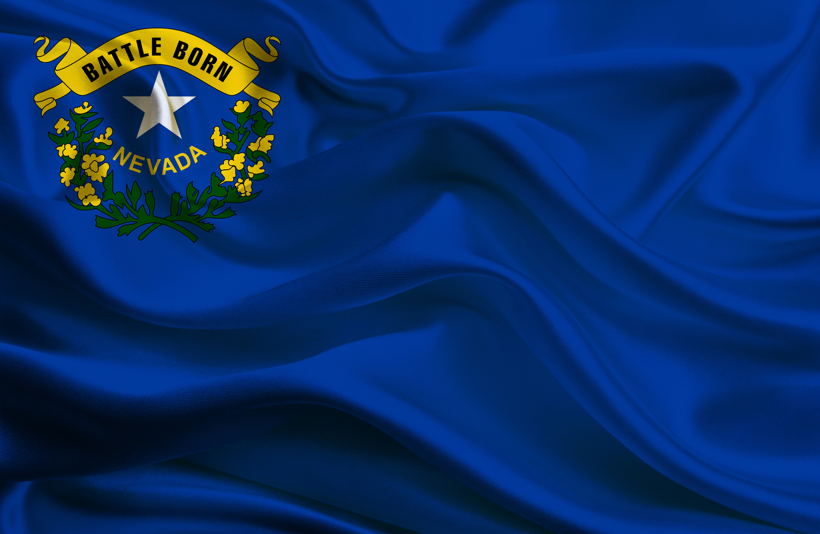 Nevada State flag