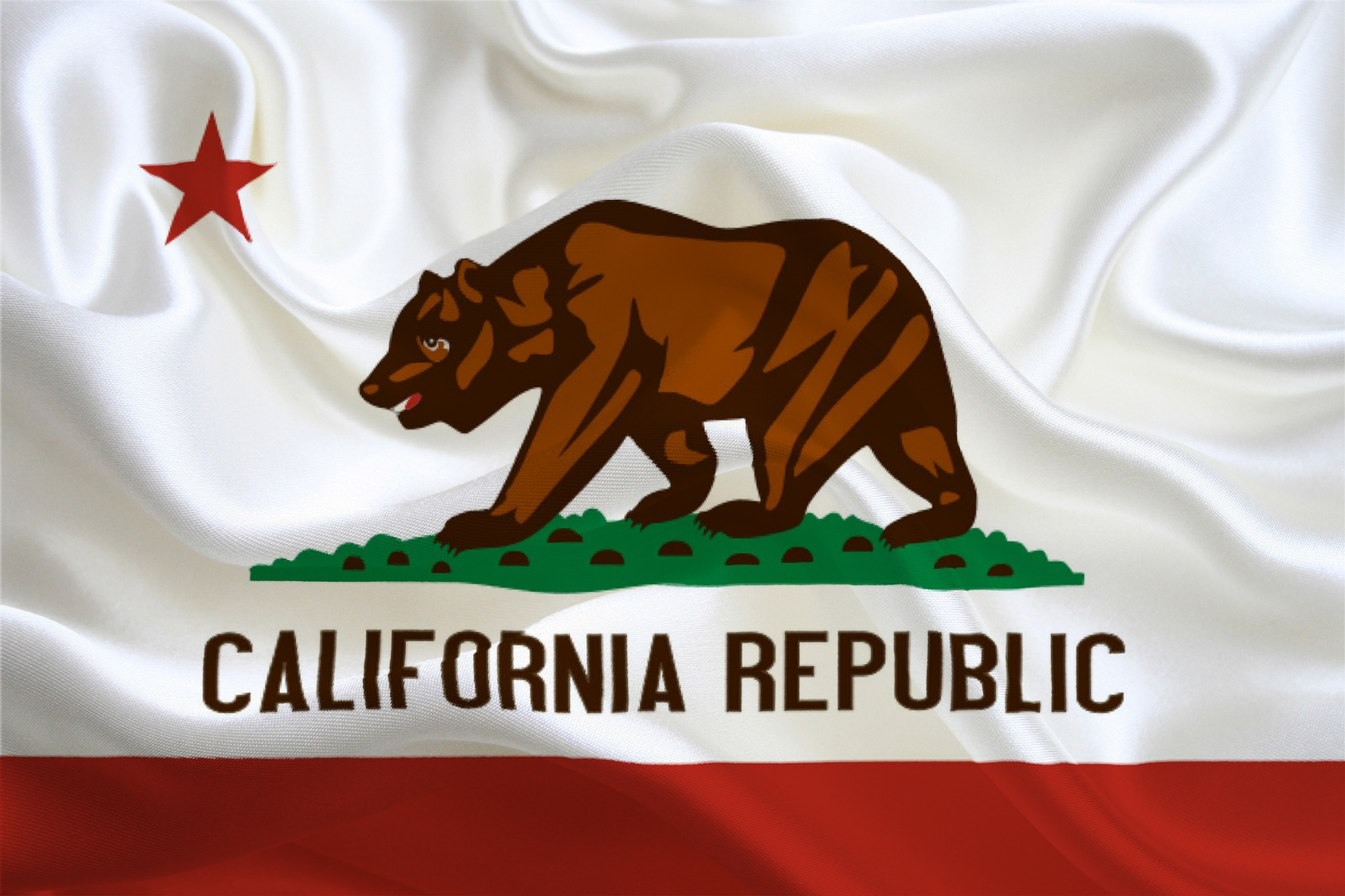 California State Flag