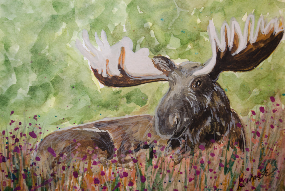 Moose In a Field - Watercolor Painting