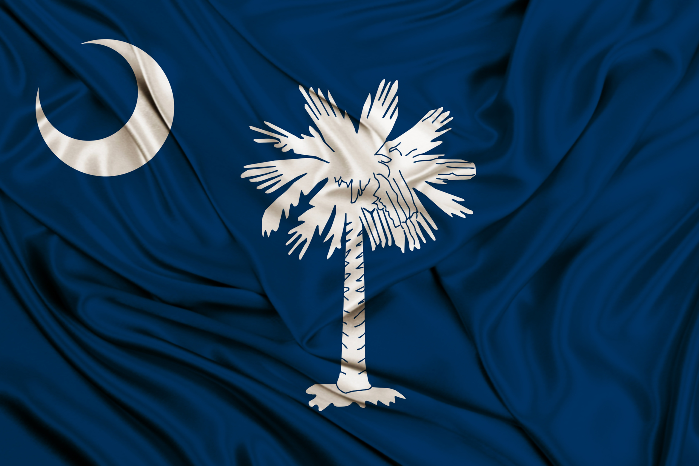 South Carolina flag