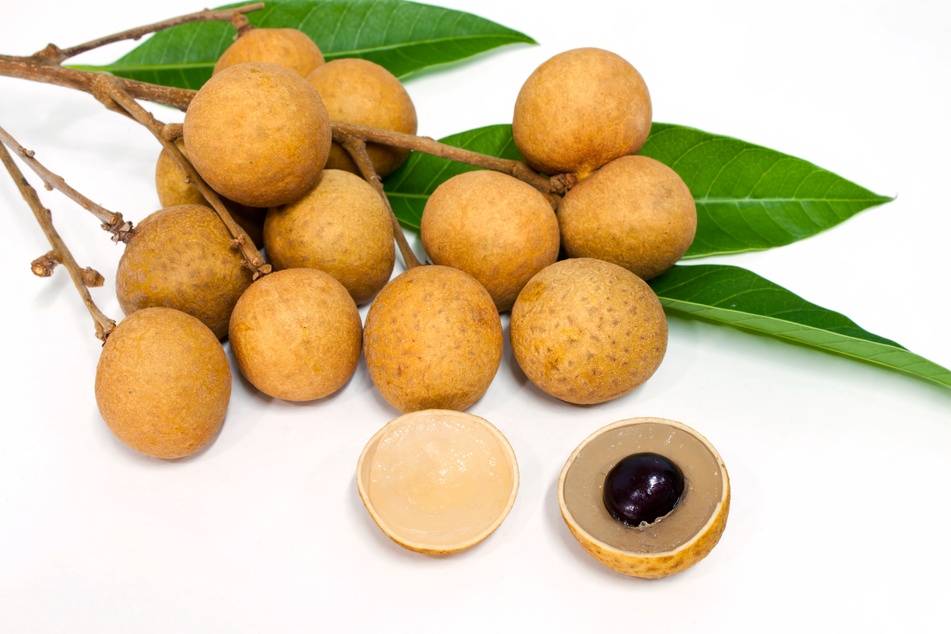 longan