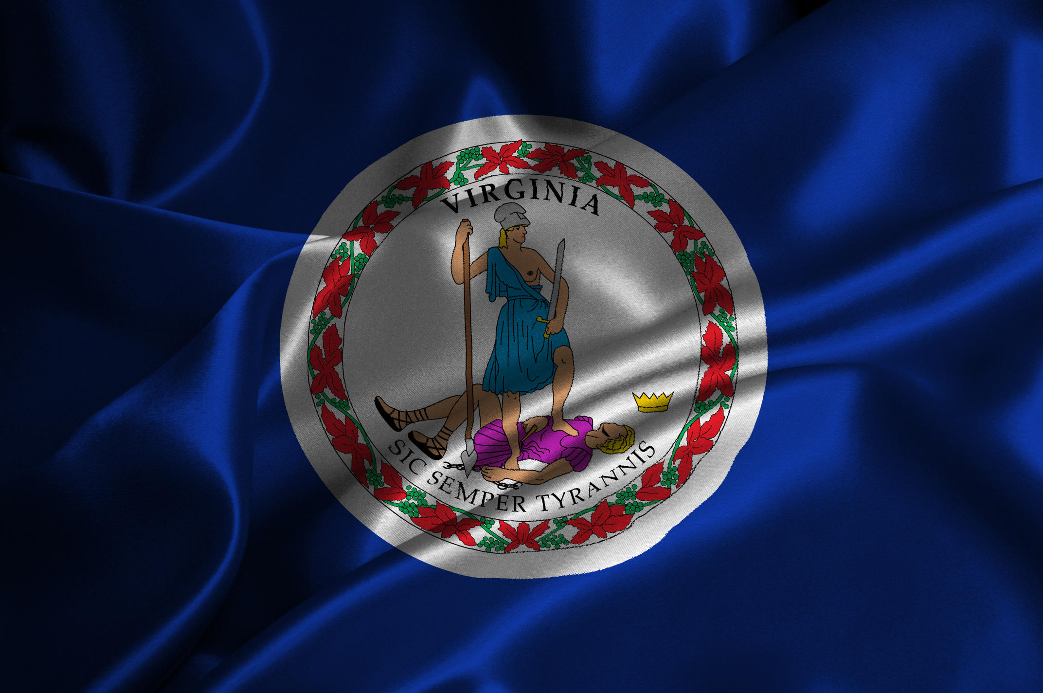 Virginia flag