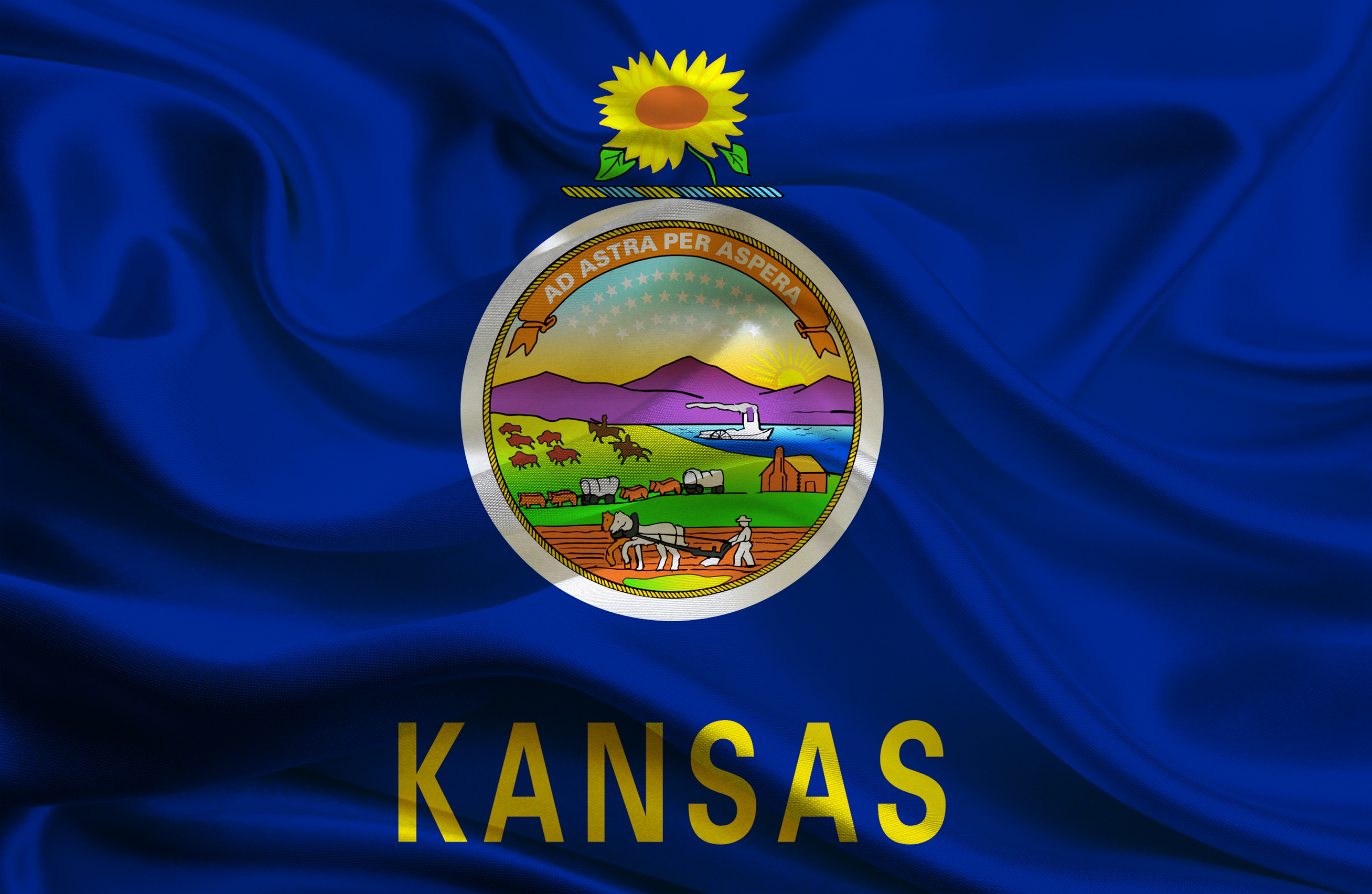 Kansas State flag