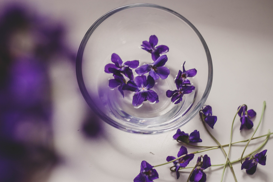 Aesthetics Violet Flowers